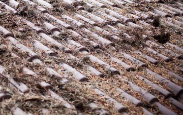 Greenwell roof cleaning companies